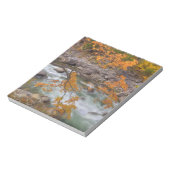 Bloc-note WA, forêt nationale de Wenatchee, érable et (Tourné)