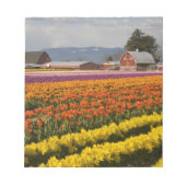 Bloc-note WA, Skagit Valley, Champs de tulipe en fleur, à (Devant)