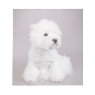 Bloc-note Westie