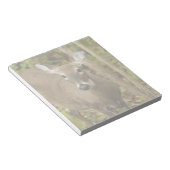 Bloc-note White Tailed (Incliné)