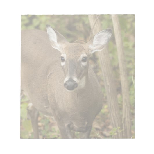 Bloc-note White Tailed (Devant)