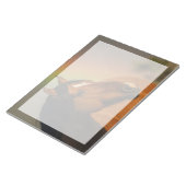 Bloc-note Wild Stallion, Golden Light and Rainbow (Incliné)