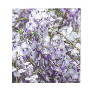 Bloc-note Wisteria