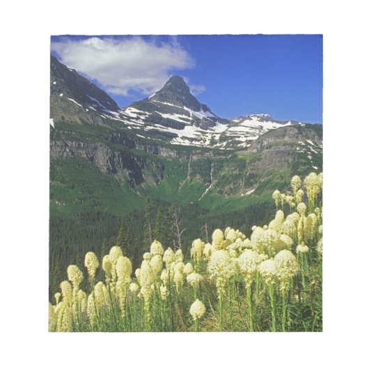 Bloc-note Xerophyllum à Logan Pass dans le parc national de (Devant)