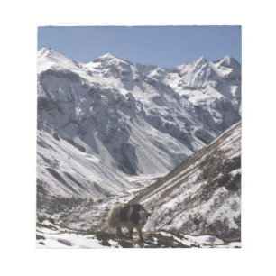 Bloc-note Yak près du mont Jhomolari, Jangothang Jigme Dorji