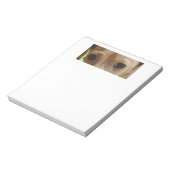 Bloc-note yeux crème dachshund (Tourné)