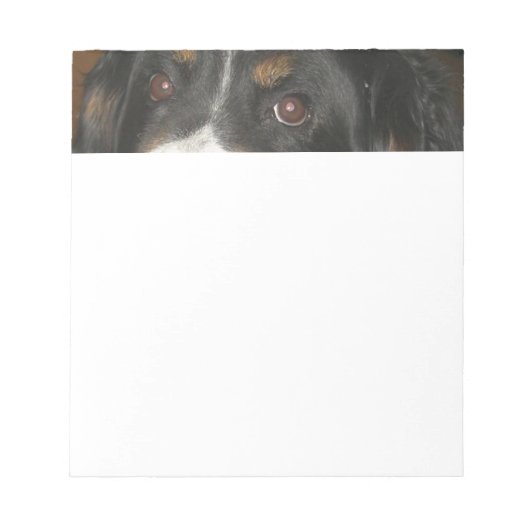 Bloc-note Yeux de Chien de Montagne Bernois (Devant)