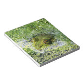 Bloc-note Yeux de grenouille dans un étang (Incliné)