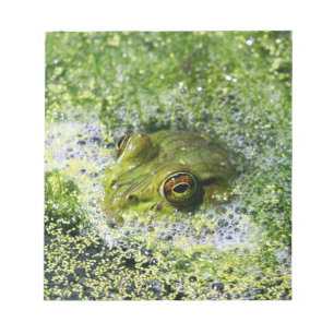 Bloc-note Yeux de grenouille dans un étang