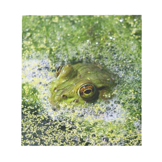 Bloc-note Yeux de grenouille dans un étang (Devant)