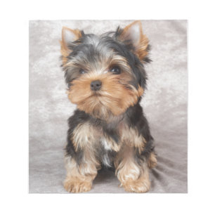 Bloc-note Yorkie merveilleux