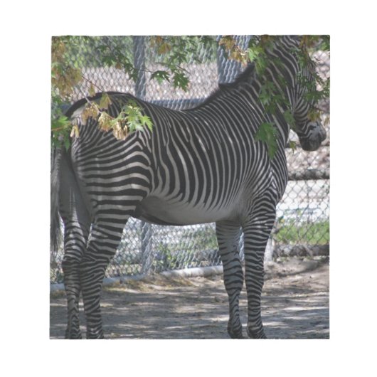 Bloc-note Zebra Love (Devant)