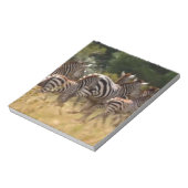 Bloc-note Zèbres en mouvement : Un voyage de mille milles (Tourné)