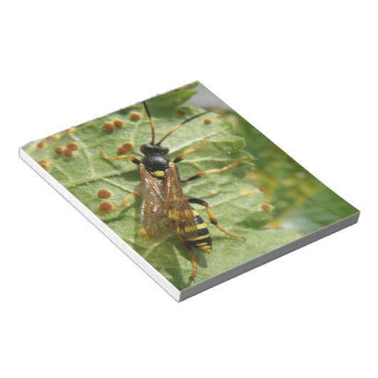 Bloc-notes (Incliné)