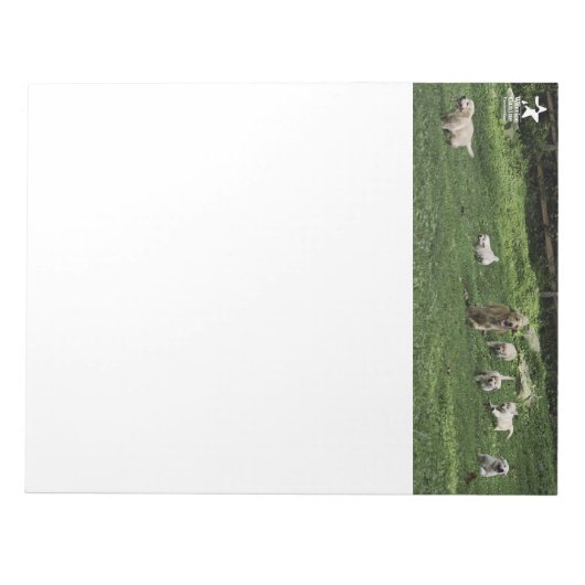 Bloc-notes à demi-douzaine de Holly (Devant)