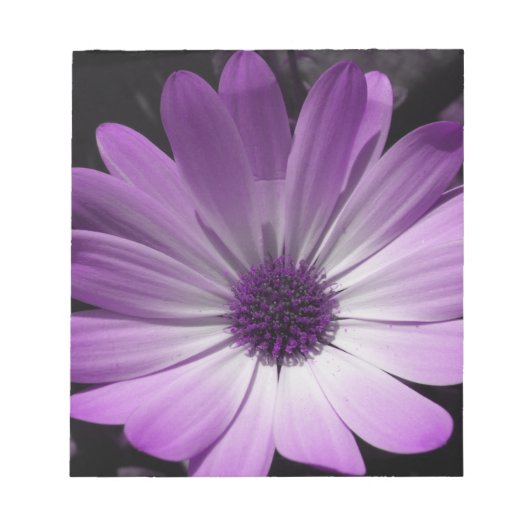 Bloc-notes à fleur pourpre (Devant)