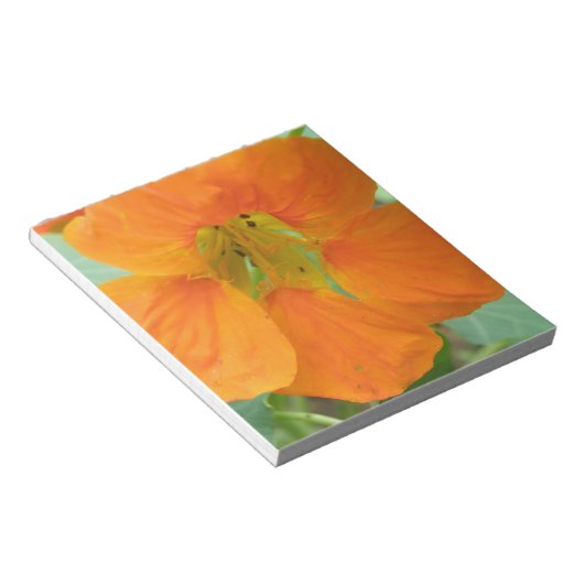 Bloc-notes à jolie fleur de Nasturtium orange (Incliné)