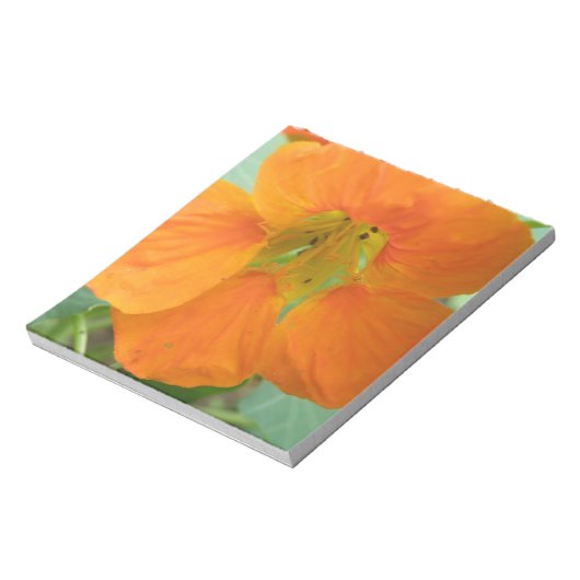Bloc-notes à jolie fleur de Nasturtium orange (Tourné)