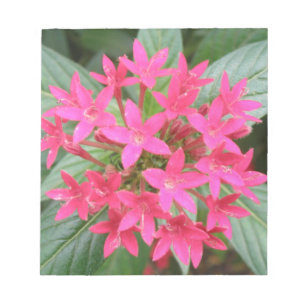 Bloc-notes aux fleurs tropicales rose vif