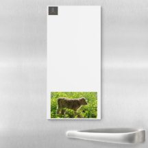 Bloc-notes Baby Belle Magnet