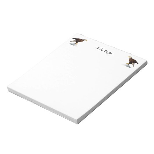 Bloc-notes Bald Eagle (Tourné)