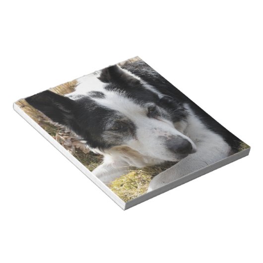 Bloc-notes Black Australian Cattle Dog (Incliné)