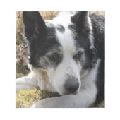 Bloc-notes Black Australian Cattle Dog (Devant)