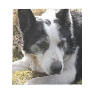 Bloc-notes Black Australian Cattle Dog