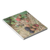 Bloc-notes Blackberry Bonanza (Incliné)