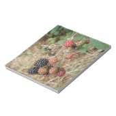 Bloc-notes Blackberry Bonanza (Tourné)