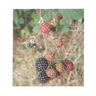 Bloc-notes Blackberry Bonanza