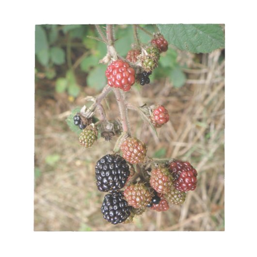Bloc-notes Blackberry Bonanza (Devant)