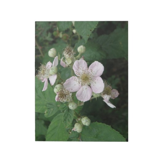 Bloc-notes Blackberry Flowers (Tourné)