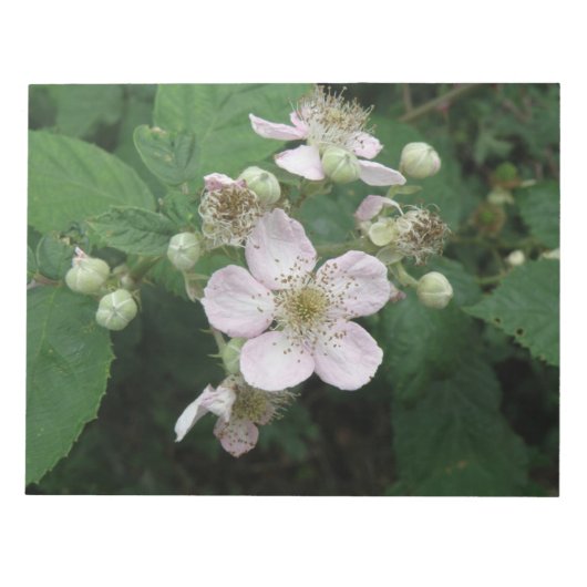 Bloc-notes Blackberry Flowers (Devant)
