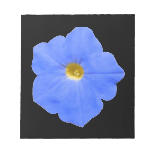 Bloc-notes bleu et jaune Petunia (Devant)