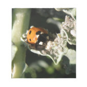 Bloc-notes britannique à 7 emplacements Ladybug (Devant)