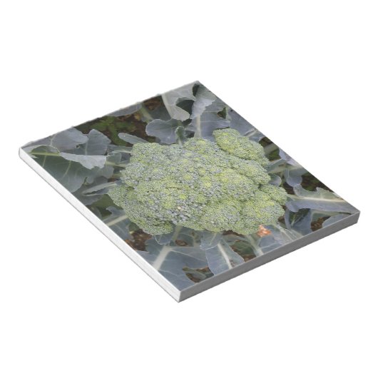Bloc-notes Broccoli (Incliné)