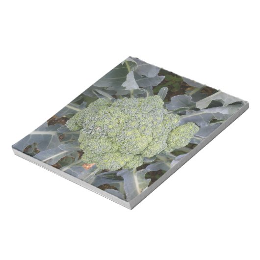Bloc-notes Broccoli (Tourné)