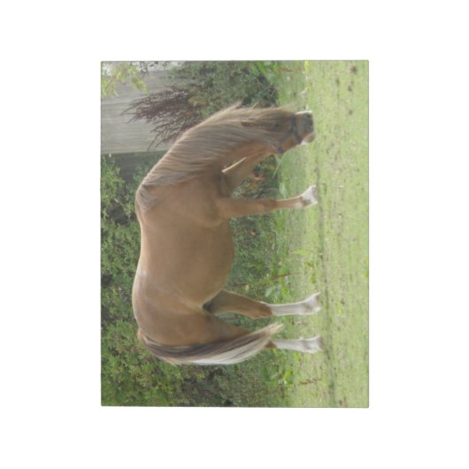 Bloc-notes Brown pour le Cheval de châtaignier (Tourné)