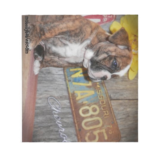 Bloc-notes Bully Love Bulldog (Devant)