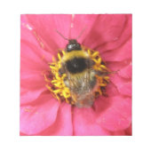 Bloc-notes Bumblebee (Devant)