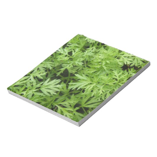 Bloc-notes Carottes (Tourné)