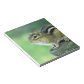 Bloc-notes Chipmunk curieux (Incliné)
