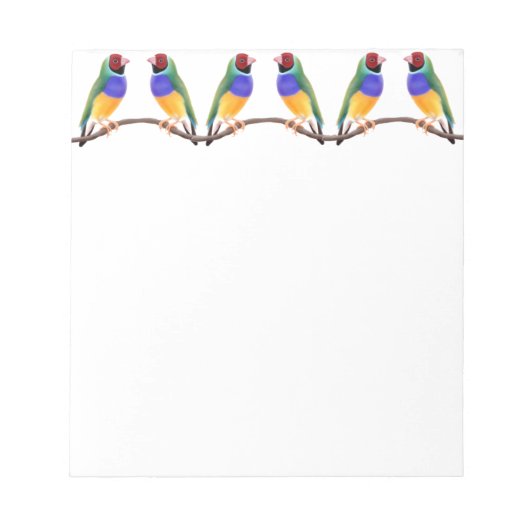 Bloc-notes coloré Gouldian Finches (Devant)