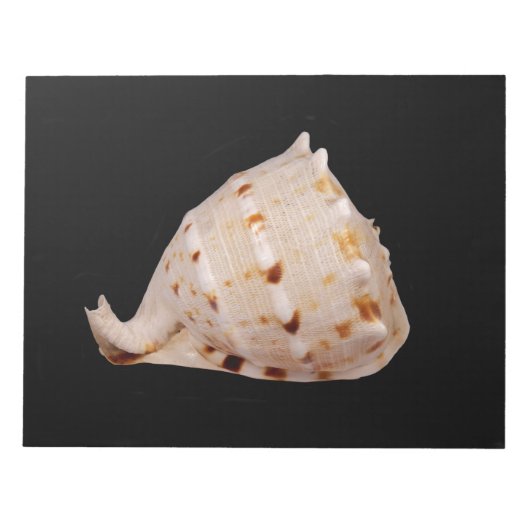 Bloc-notes Conch Shell (Devant)
