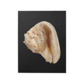 Bloc-notes Conch Shell (Tourné)