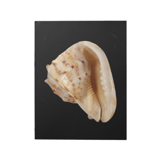 Bloc-notes Conch Shell (Tourné)