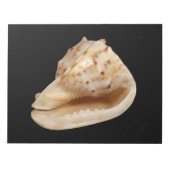 Bloc-notes Conch Shell (Devant)