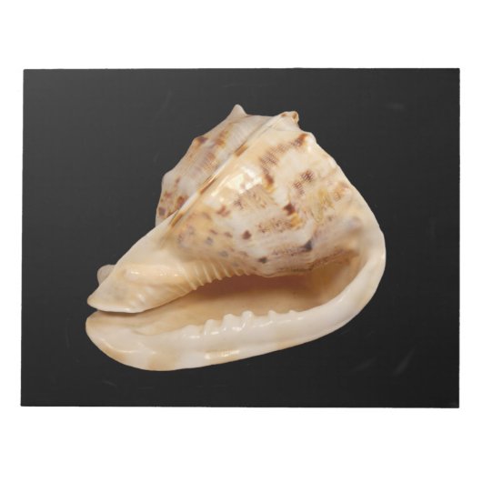 Bloc-notes Conch Shell (Devant)