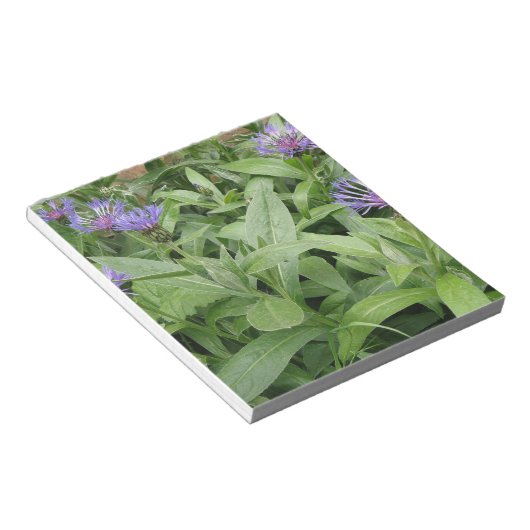 Bloc-notes Cornflowers (Incliné)